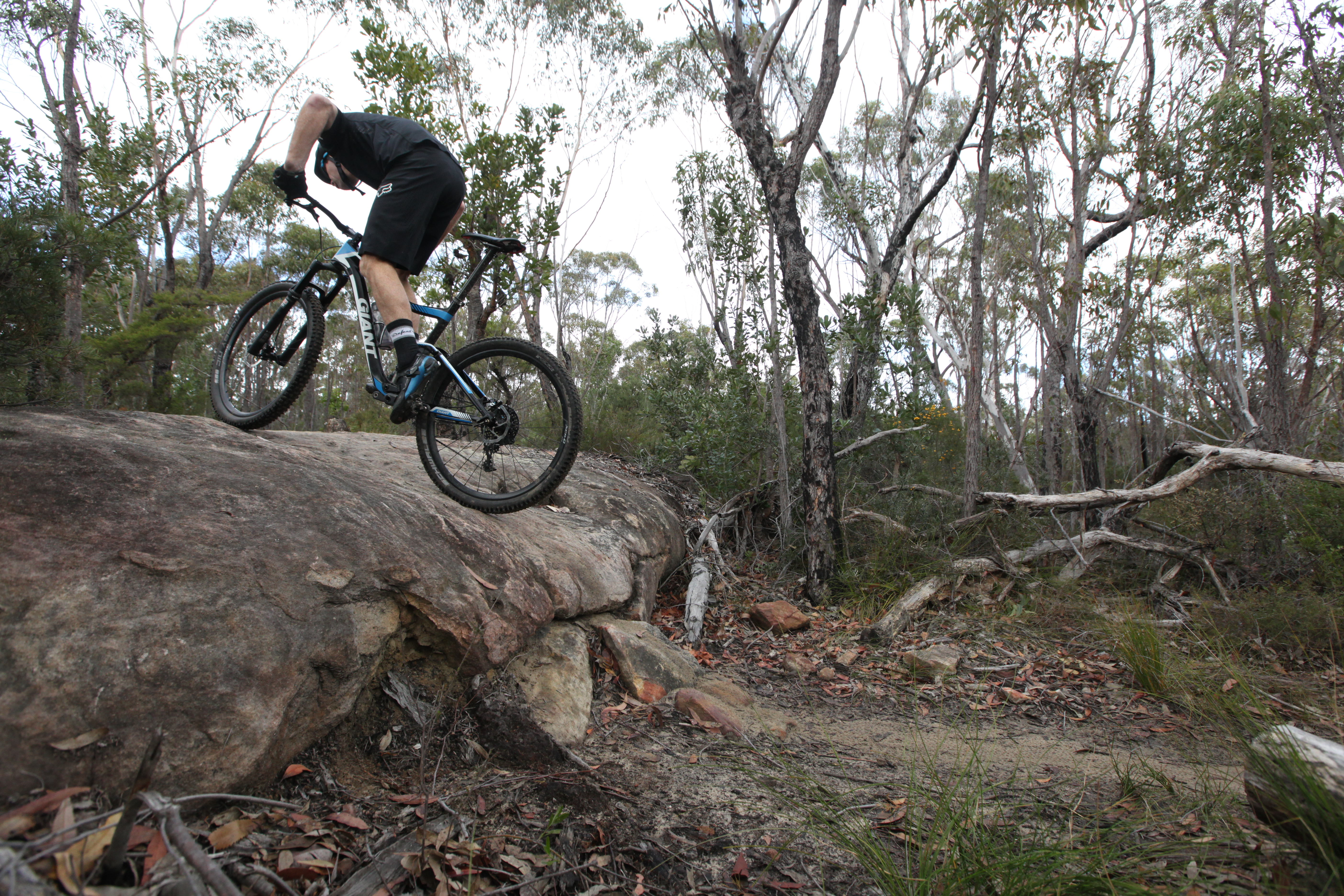 How to Ride a Rock Roll-Up